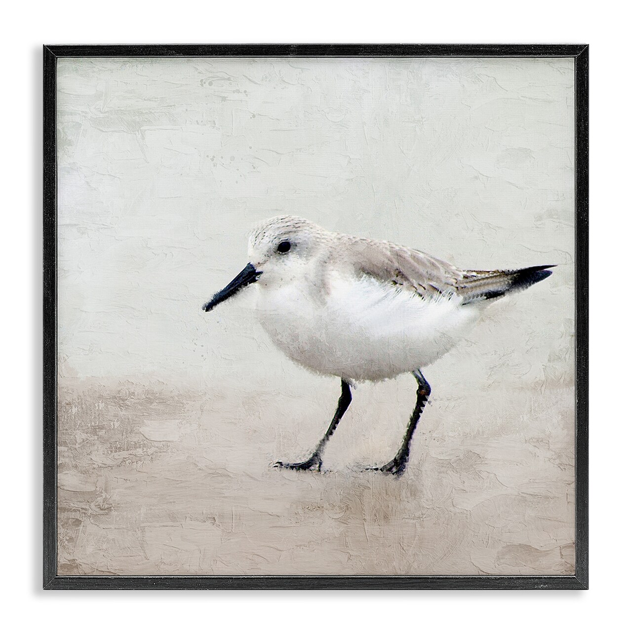 Stupell Industries Lone Sandpiper Bird Portrait Framed Giclee Art
